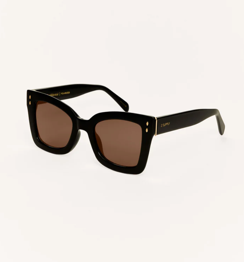 Confidential Sunglasses - Polished Black Brown Polarized